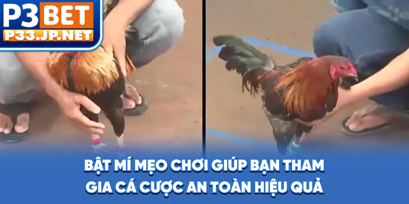 Bật mí mẹo chơi giúp bạn tham gia cá cược an toàn, hiệu quả