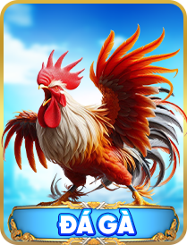 Sảnh đá gà nhà cái p3