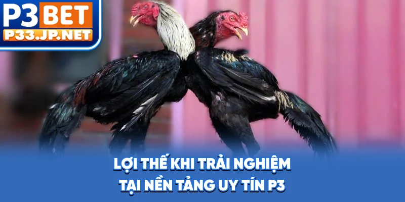 Lợi thế khi trải nghiệm tại nền tảng uy tín P3