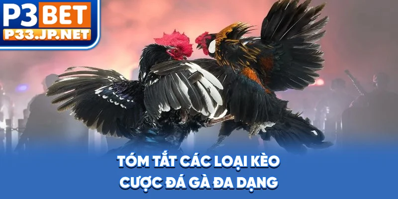 Tóm tắt các loại kèo cược đá gà đa dạng